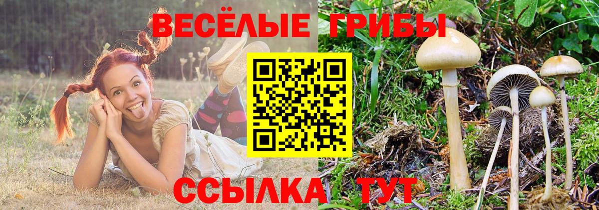 Галлюциногенные грибы Psilocybine cubensis  Вход с VPN  купить наркотик  Коломна 
